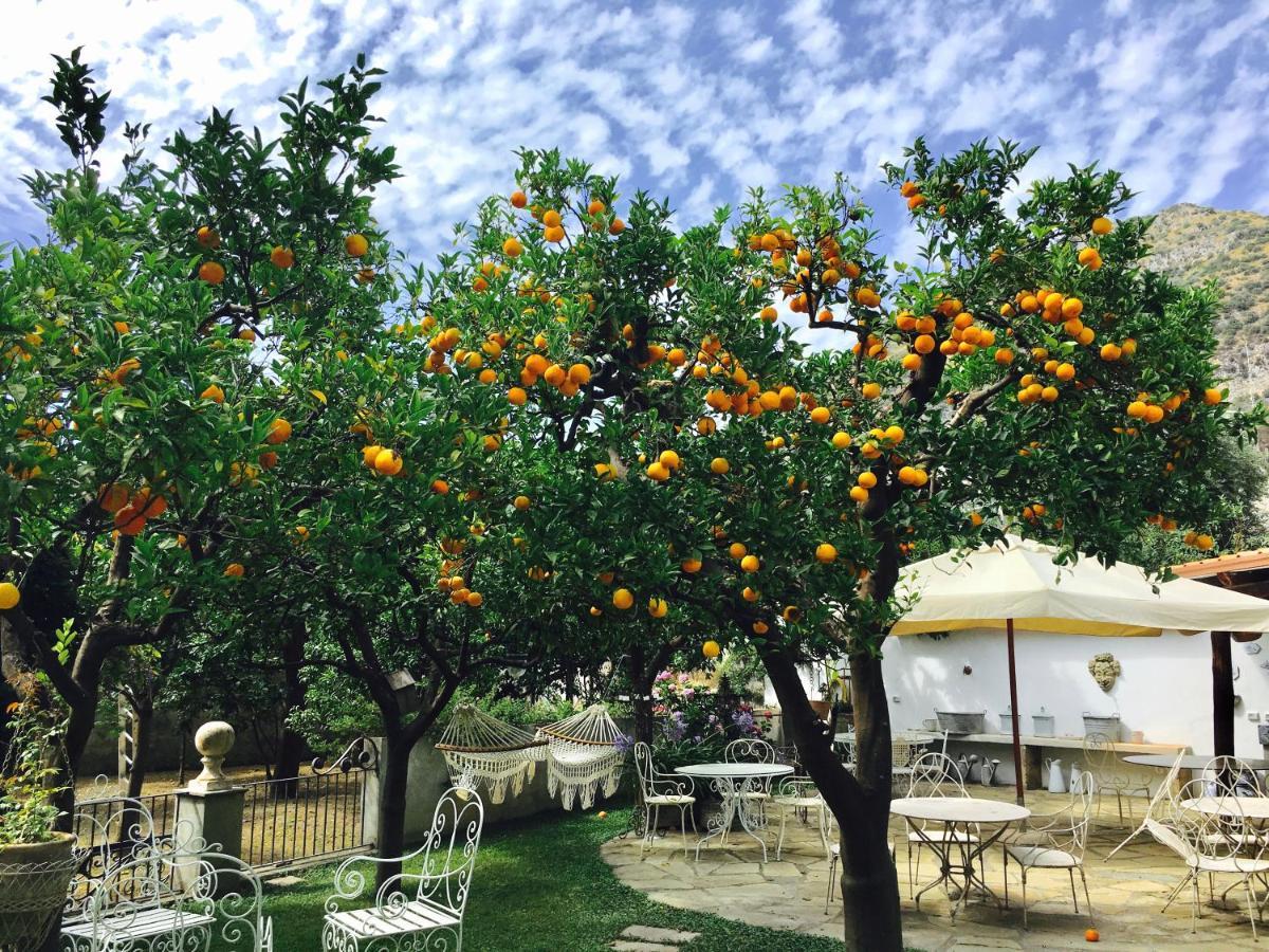 Palazzo Cacace Relais Otel Meta Dış mekan fotoğraf