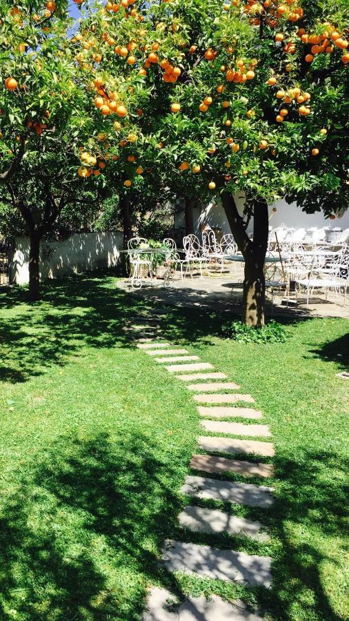 Palazzo Cacace Relais Otel Meta Dış mekan fotoğraf